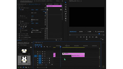 エッセンシャルグラフィックス１２